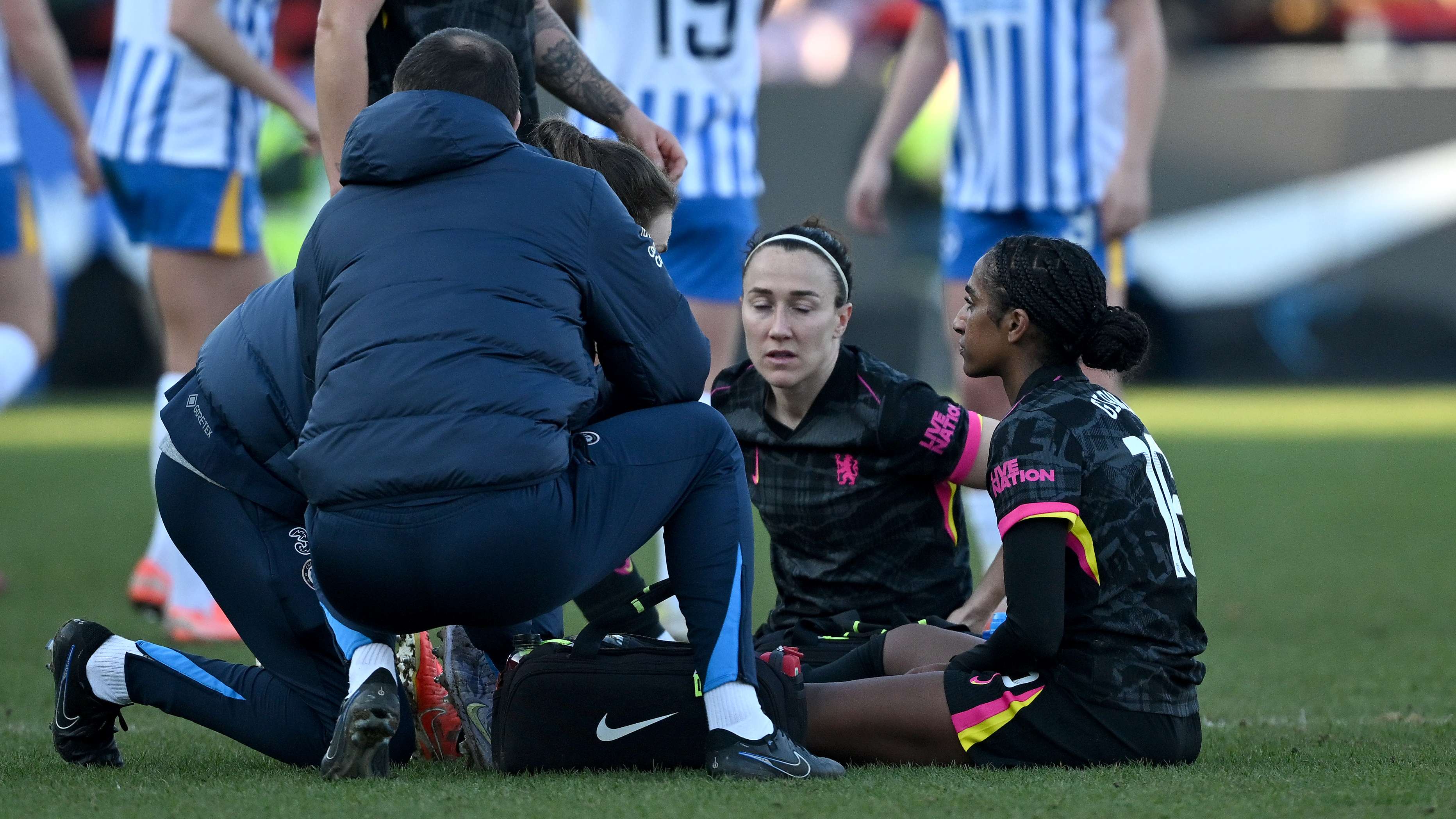 从早年的贝 从早年的贝