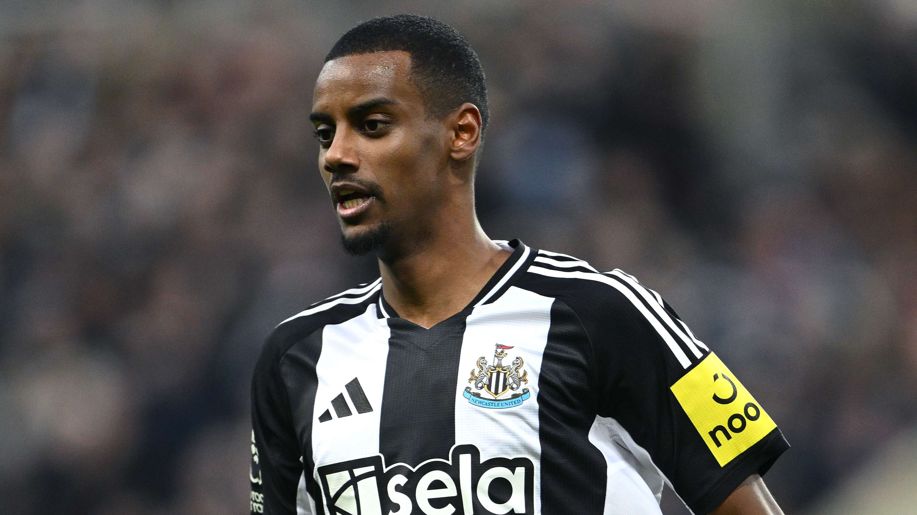 也有着独到 也有着独到